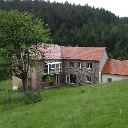 Gite Hansel De La Ferme Du Schneeberg Wangenbourg-Engenthal المظهر الخارجي الصورة