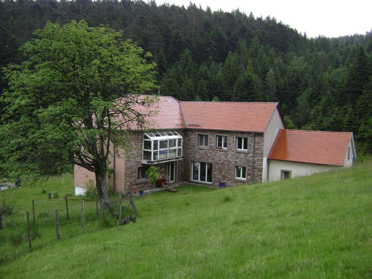 Gite Hansel De La Ferme Du Schneeberg Wangenbourg-Engenthal المظهر الخارجي الصورة