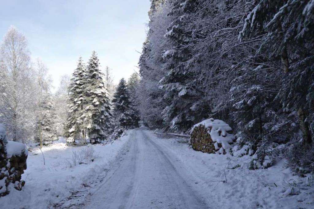 Gite Hansel De La Ferme Du Schneeberg Wangenbourg-Engenthal المظهر الخارجي الصورة