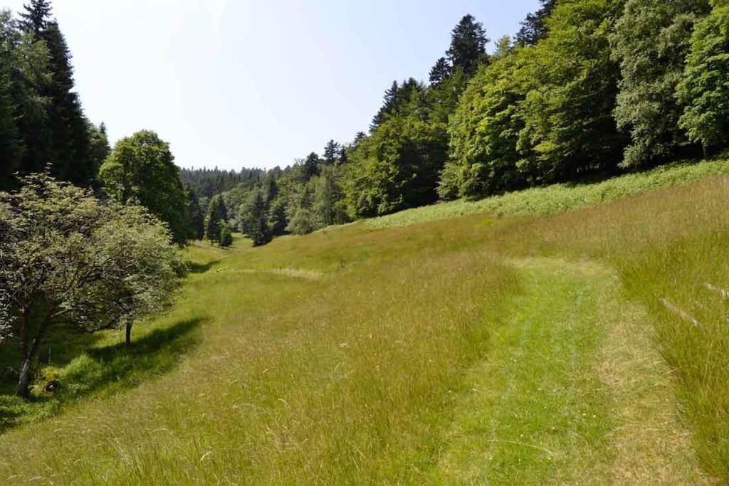 Gite Hansel De La Ferme Du Schneeberg Wangenbourg-Engenthal المظهر الخارجي الصورة