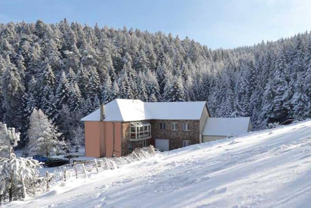 Gite Hansel De La Ferme Du Schneeberg Wangenbourg-Engenthal المظهر الخارجي الصورة