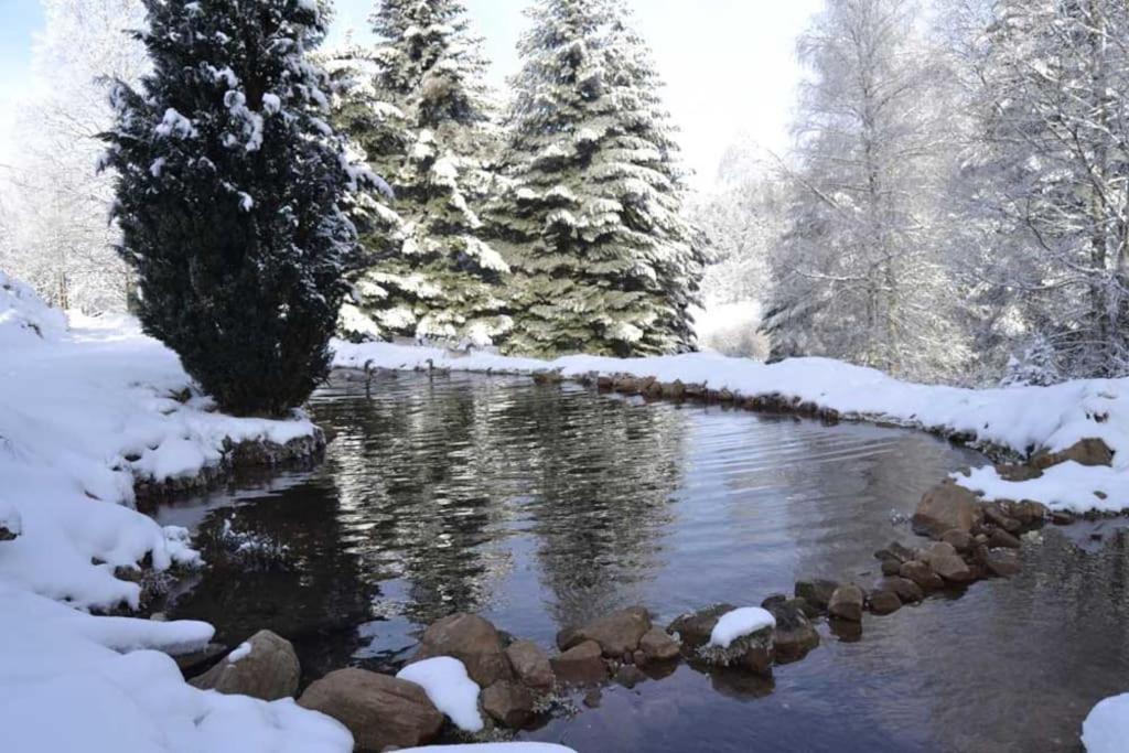 Gite Hansel De La Ferme Du Schneeberg Wangenbourg-Engenthal المظهر الخارجي الصورة