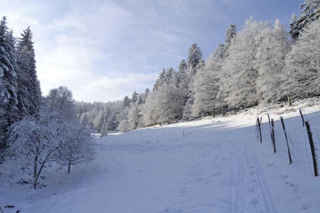 Gite Hansel De La Ferme Du Schneeberg Wangenbourg-Engenthal المظهر الخارجي الصورة