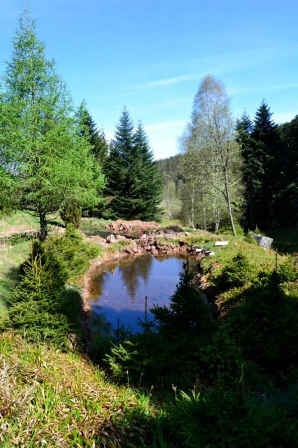 Gite Hansel De La Ferme Du Schneeberg Wangenbourg-Engenthal المظهر الخارجي الصورة